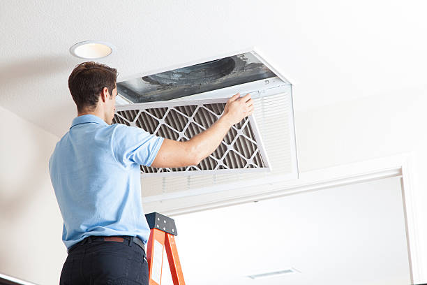 Best Air Filters and Purifiers in Willamina, OR